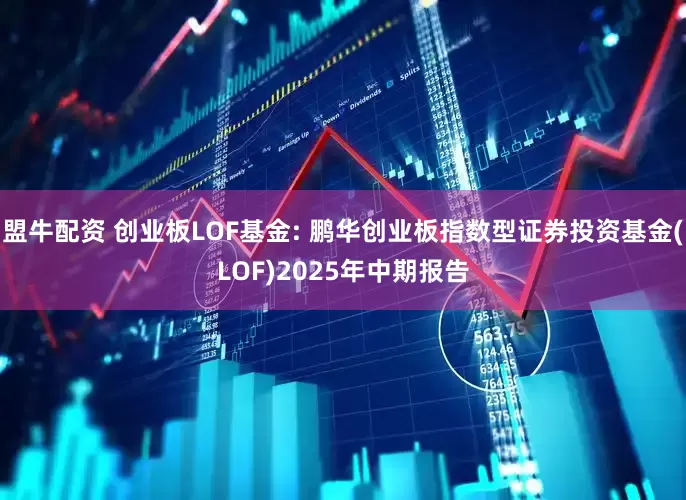盟牛配资 创业板LOF基金: 鹏华创业板指数型证券投资基金(LOF)2025年中期报告