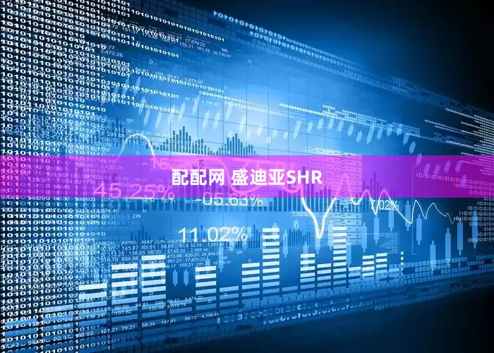 配配网 盛迪亚SHR