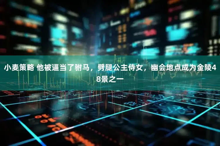 小麦策略 他被逼当了驸马，劈腿公主侍女，幽会地点成为金陵48景之一